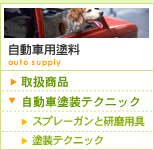 �����ԗp�h��